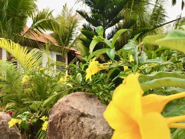 Bamboo Garden Resort Phu Quoc Exterior foto